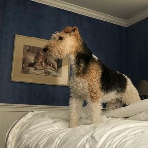 Meet your Posher, Jon